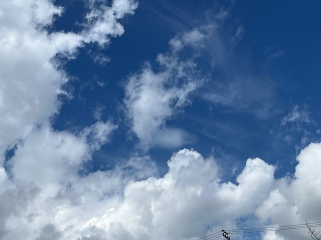 56DD4D73-CADD-4E0A-B576-9FEAA4AA9F7B.jpeg