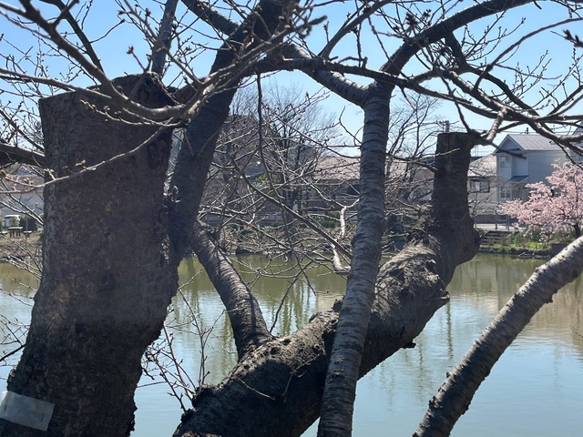 FC68874E-F0A7-463B-8138-22F768597888.jpeg